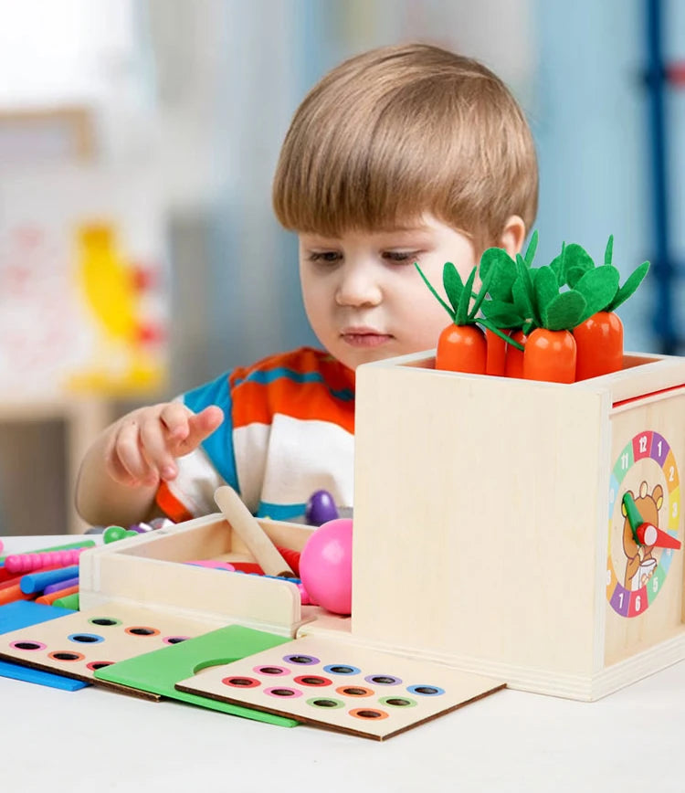 6-in-1 Montessori Wooden Toy Play Set - Object Permanence Box, Coin Box, Shape Sorter & Ball Drop