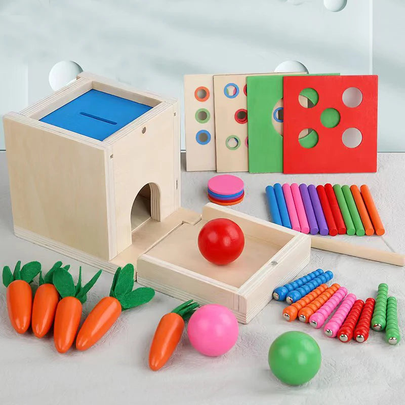 6-in-1 Montessori Wooden Toy Play Set - Object Permanence Box, Coin Box, Shape Sorter & Ball Drop