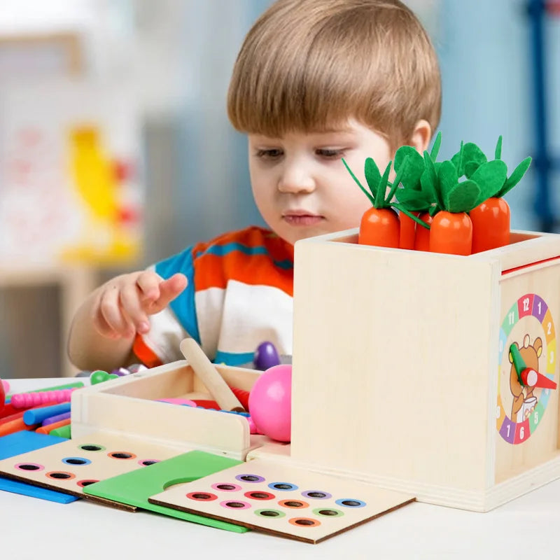 6-in-1 Montessori Wooden Toy Play Set - Object Permanence Box, Coin Box, Shape Sorter & Ball Drop