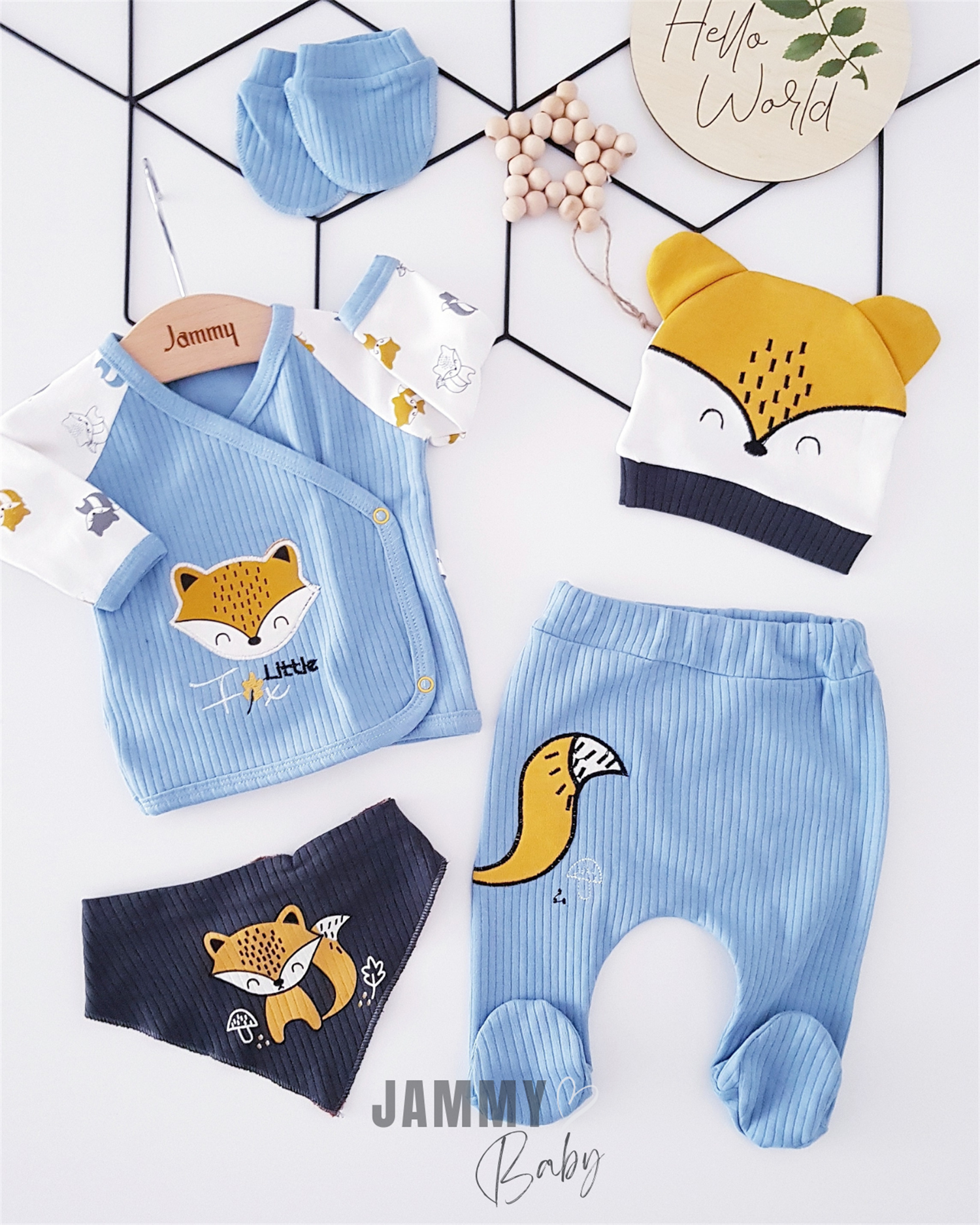 Fox Figured 5 Piece Newborn Set-BLUE