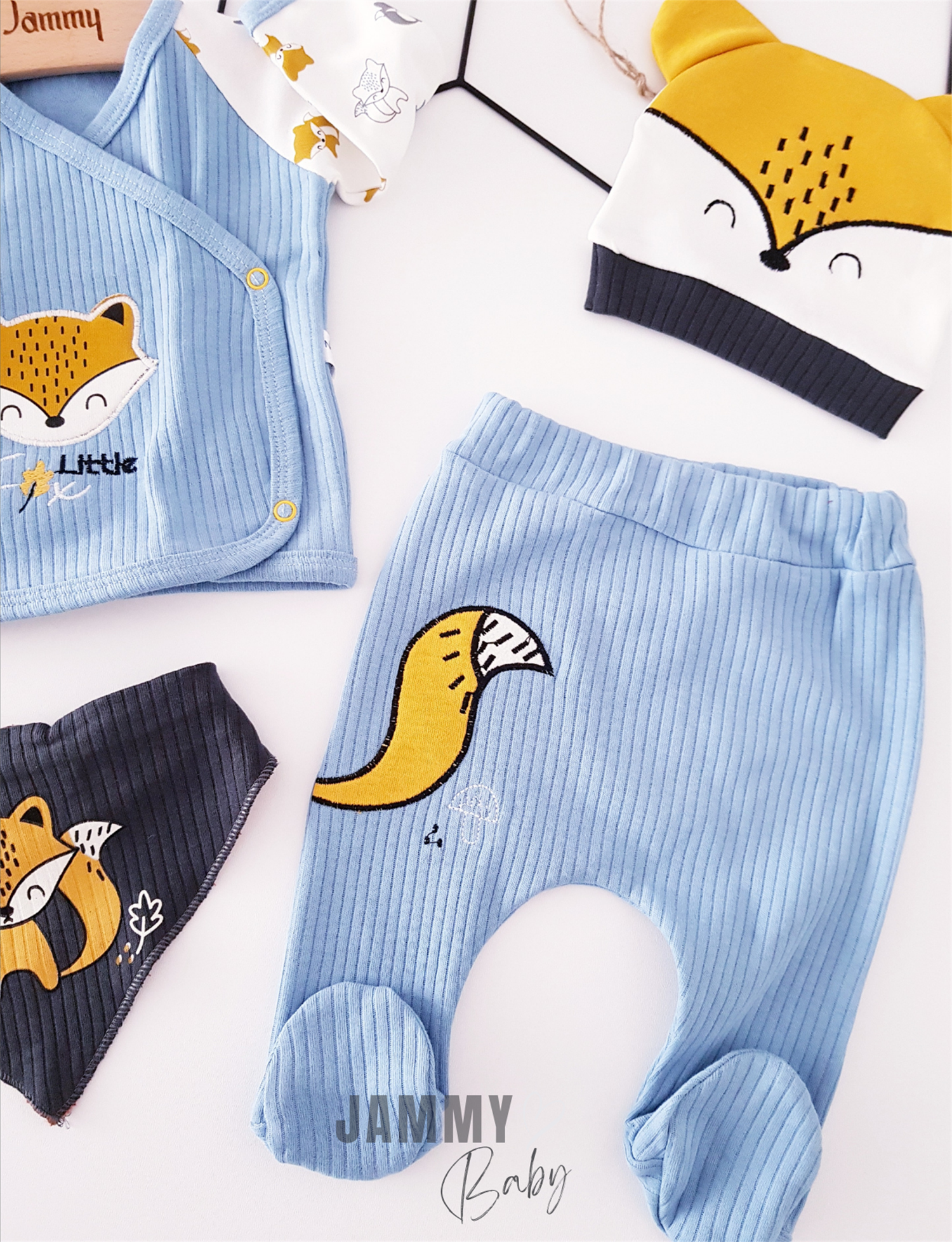 Fox Figured 5 Piece Newborn Set-BLUE