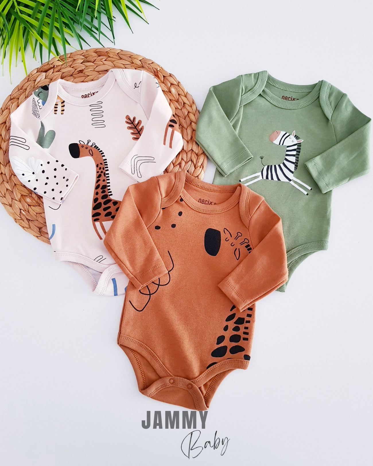 Safari 3-teiliges Body-Set – BRAUN